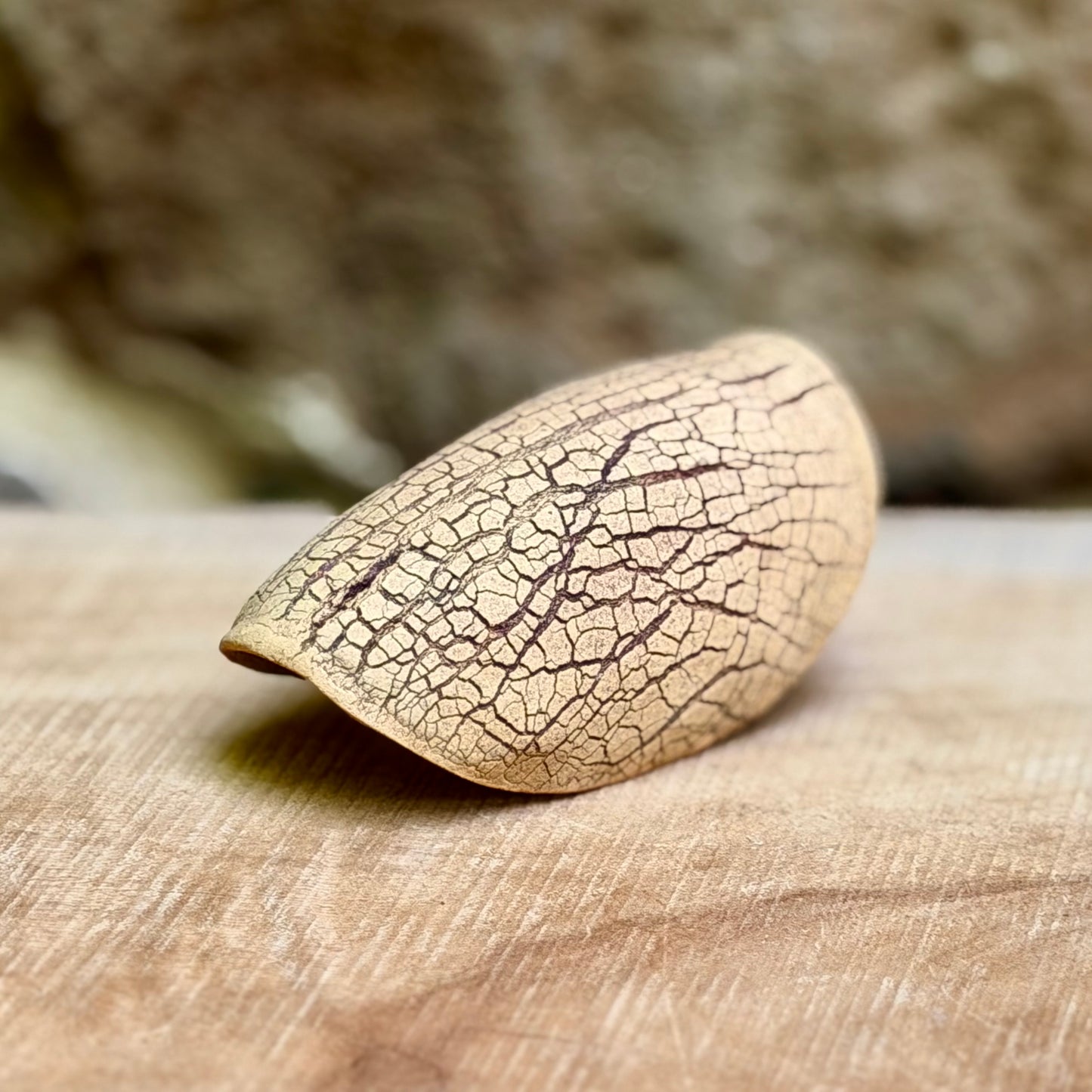 Small bark textured Tea scoop