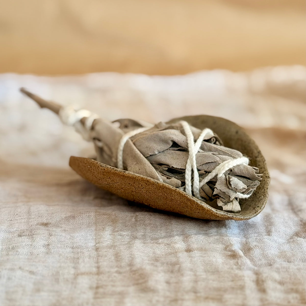 Bark Ritual Dish