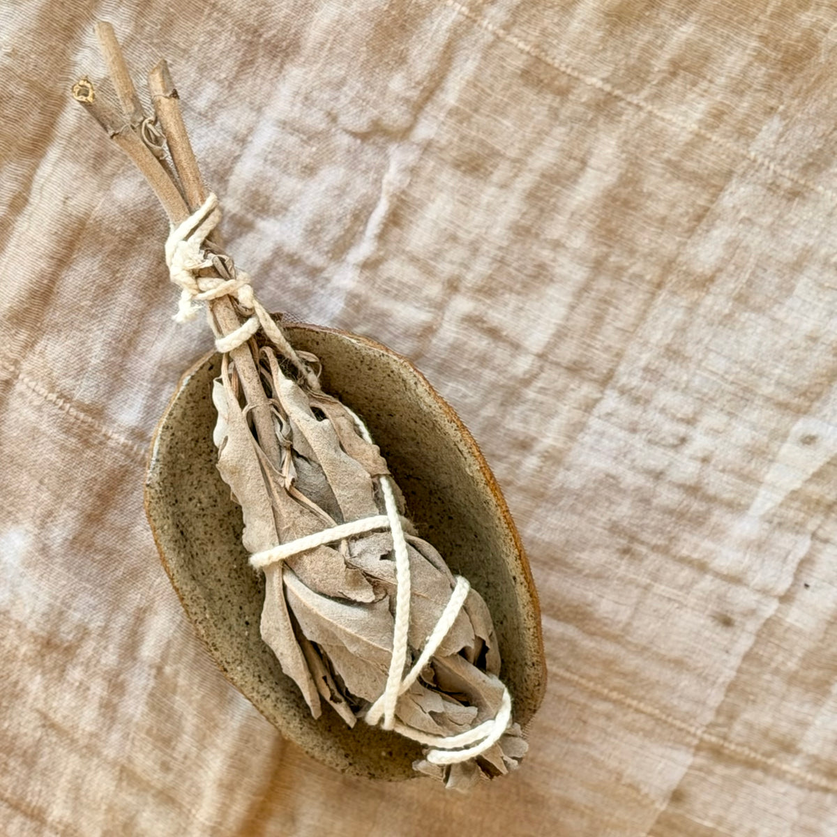 Bark Ritual Dish