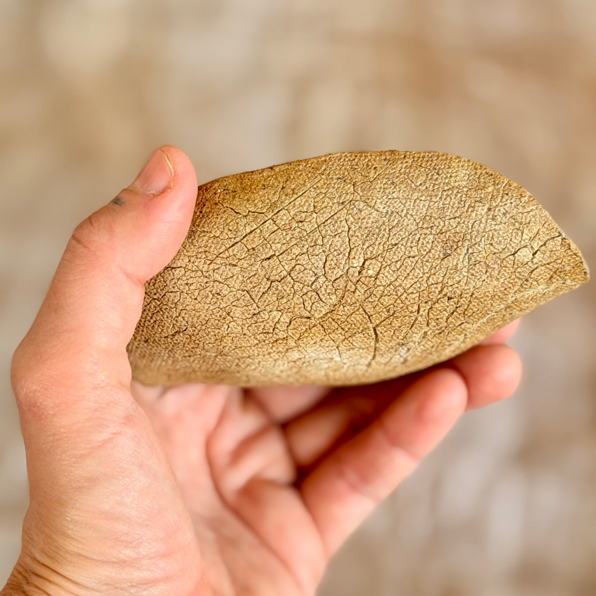 Bark Ritual Dish